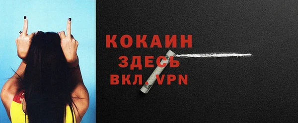2c-b Новозыбков
