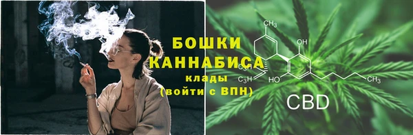 2c-b Новозыбков