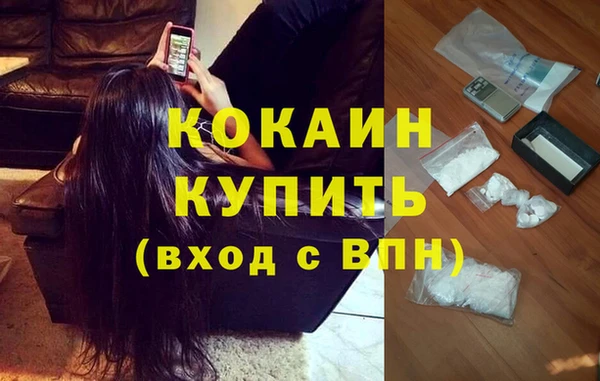2c-b Новозыбков
