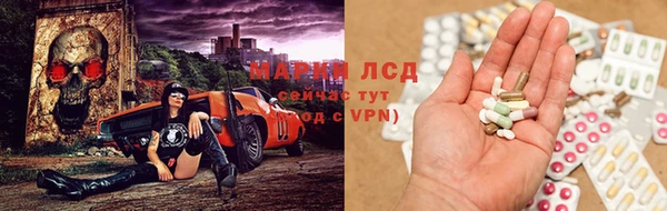 спайс Новодвинск