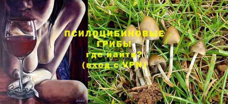 Галлюциногенные грибы MAGIC MUSHROOMS  Олонец 